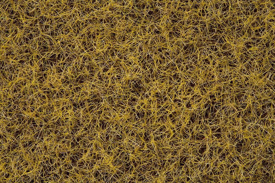 Accessori: Noch 07074 Grasmix Riedwiese 50g Beutel – Nuovo e nell'imballaggio originale da Oberurnen venduto da Zueger_Modellbahnen 1