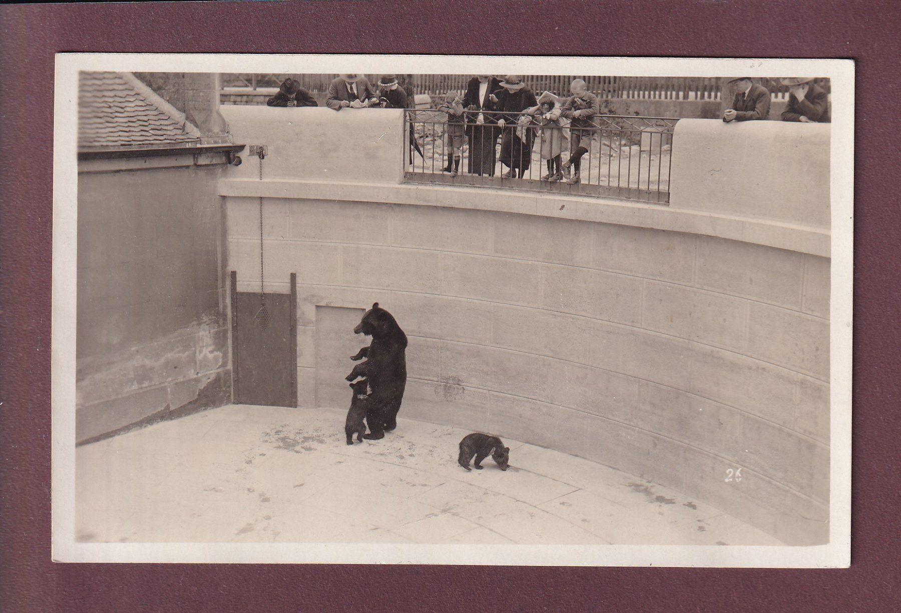 Cartoline postali: BERN - Bärengraben - 1932 - Photo – Usato da Pully venduto da nicecards