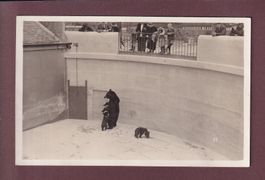 BERN - Bärengraben - 1932 - Photo
