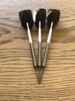 25g Steeldart Set