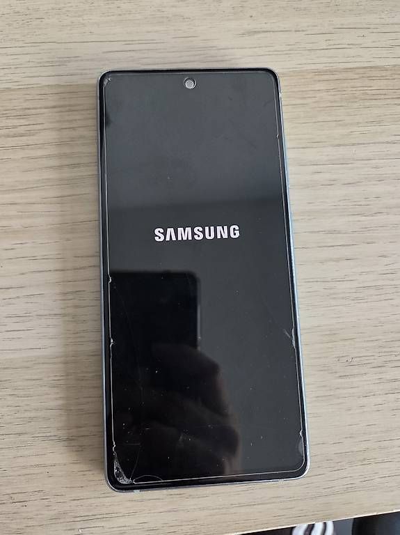 Samsung Telefoni cellulari / Smartphones: Samsung S20 FE mit Hülle + screen protector – Usato da Bern venduto da deb_t8fl