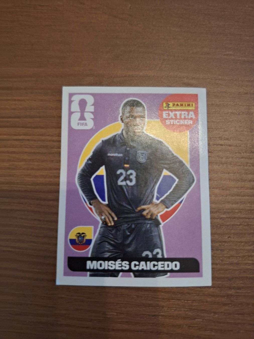 Panini Sammelbilder & Trading cards: Extra Sticker Lila - Caicedo - Panini 2026 – Neu (gemäss Beschreibung) aus Gelterkinden von lau_z755