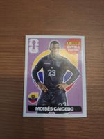 Extra Sticker Lila - Caicedo - Panini 2026