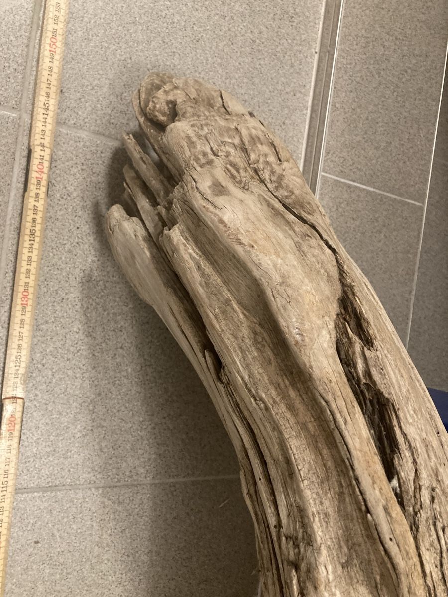 Holzartikel: Schwemmholz – Gebraucht aus Staad SG von gab_7dr9 1