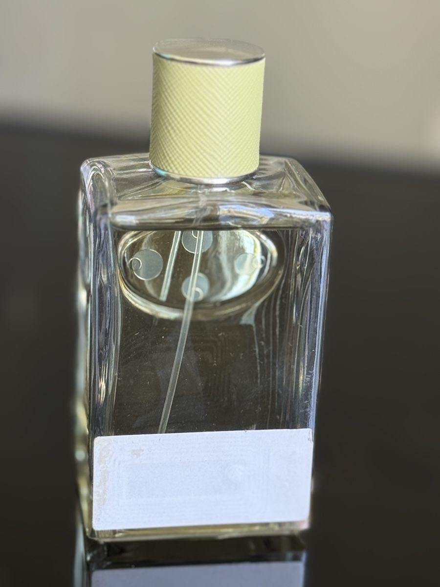Prada Profumi & Eau de Toilette: Prada Infusion d'Iris Eau de Parfum 100ml, neu – Nuovo (secondo la descrizione) da Oberentfelden venduto da powermaster 2