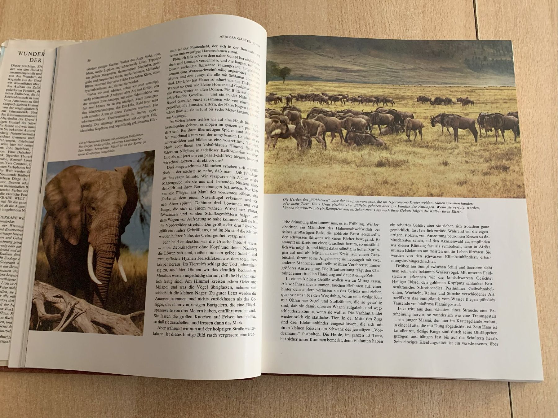 Libri: Wunderbare Welt der Natur Reader's Digest – Usato da Reinach BL venduto da Grolifcb 4