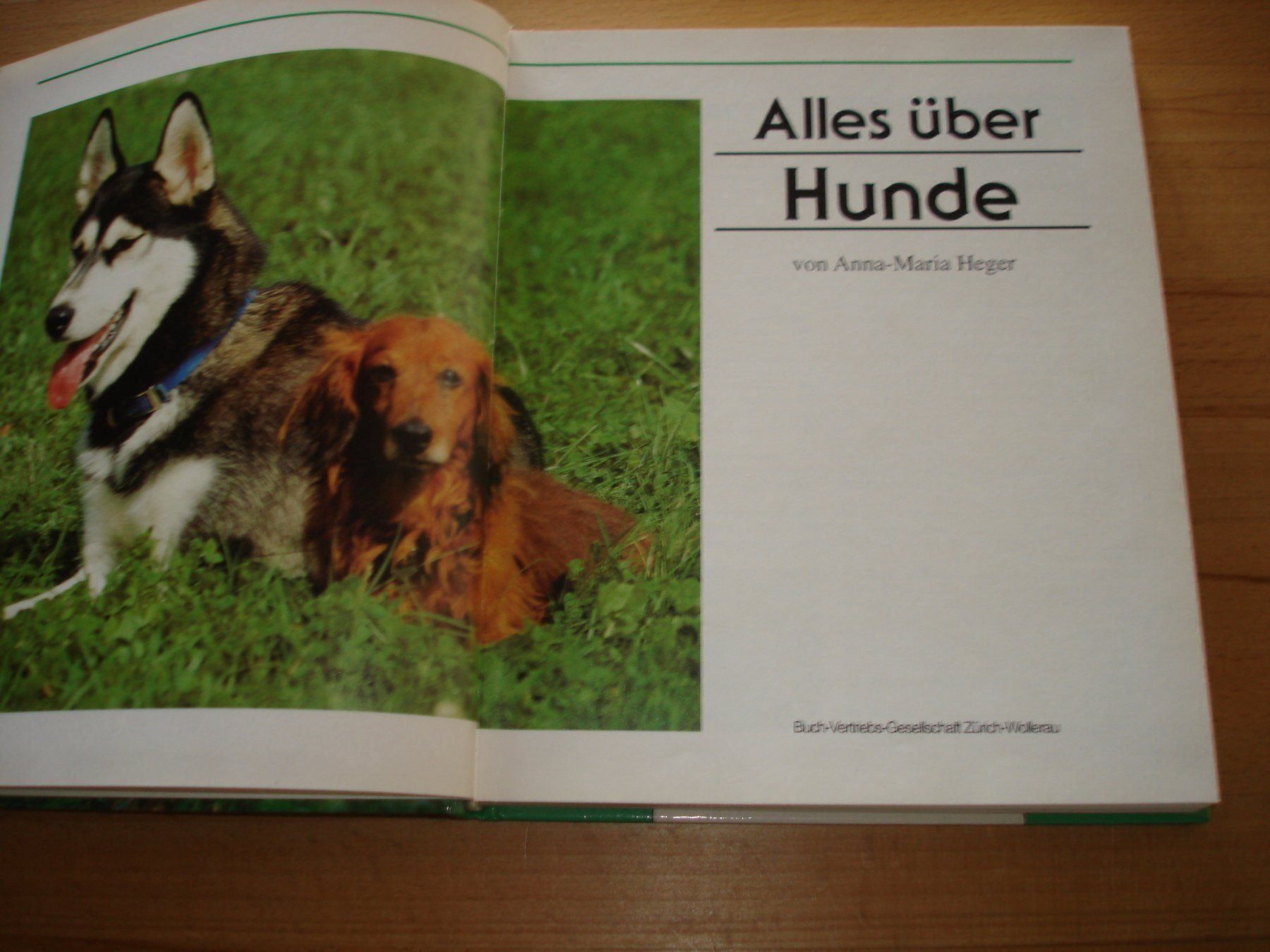 Libri: Alles über Hunde – Usato da Gossau ZH venduto da Crfurrer 1