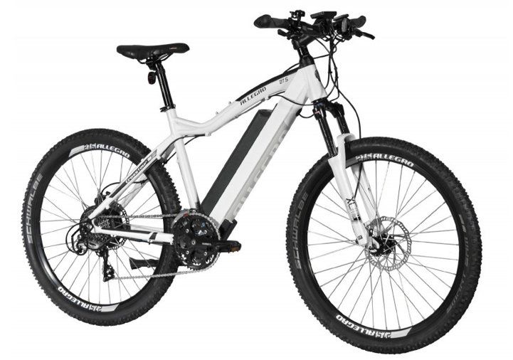 Vélos: E-Mountainbike – Neuf (Voir description) à Buchs SG par 777Jaspis