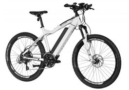 E-Mountainbike