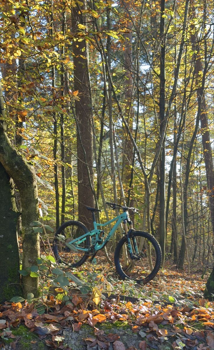 Rose Velos: Rose Root Miller 2 custom 2023 – Gebraucht aus Bremgarten AG von Dbar31 1