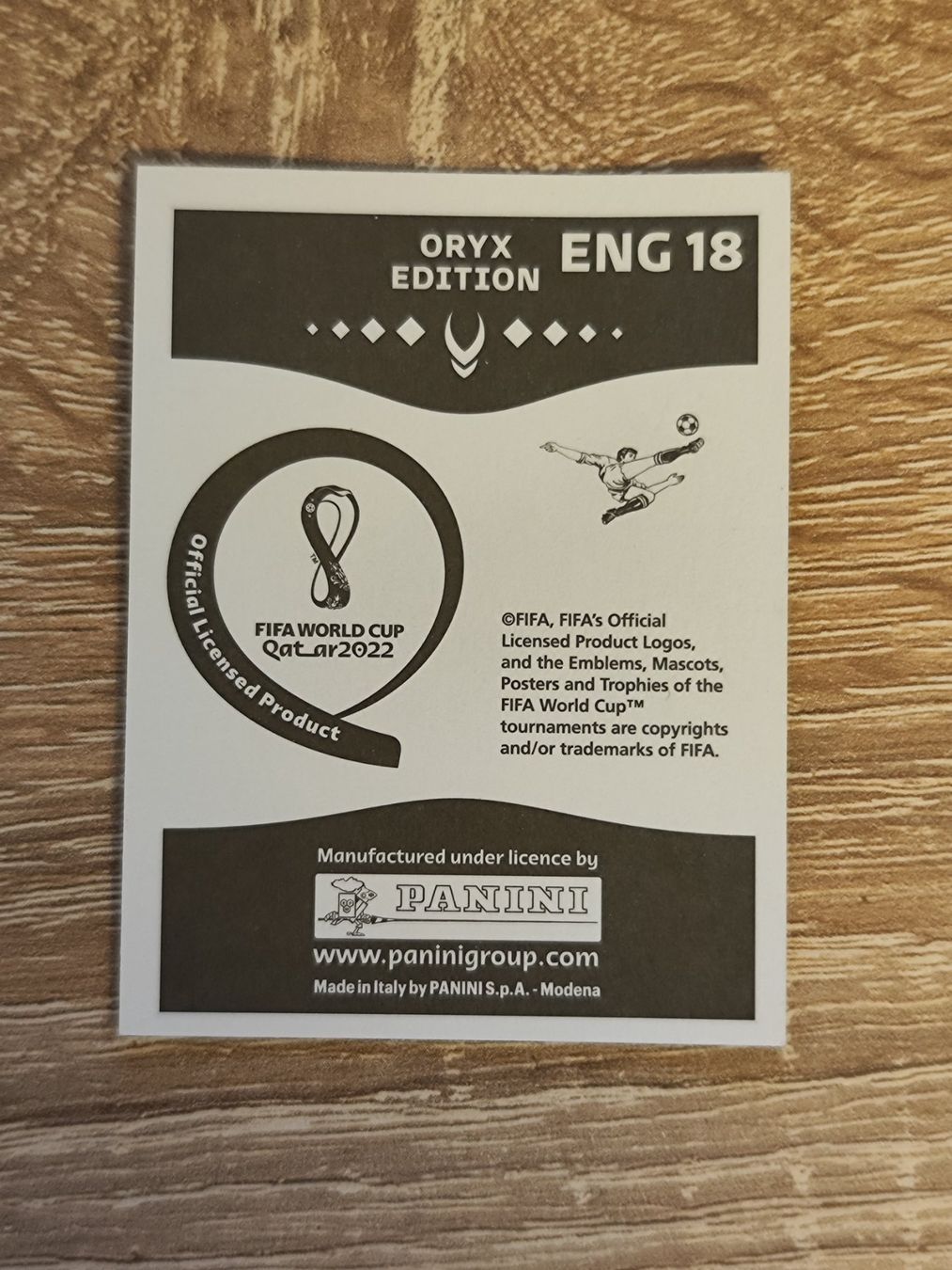 Panini Carte collezionabili: Harry Kane Panini WM Cup Qatar 2022 – Nuovo (secondo la descrizione) da Fislisbach venduto da Hast1976 1