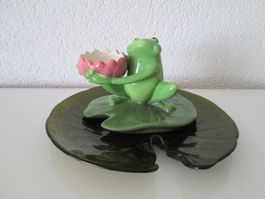 Schöner Frosch fur Dekoration