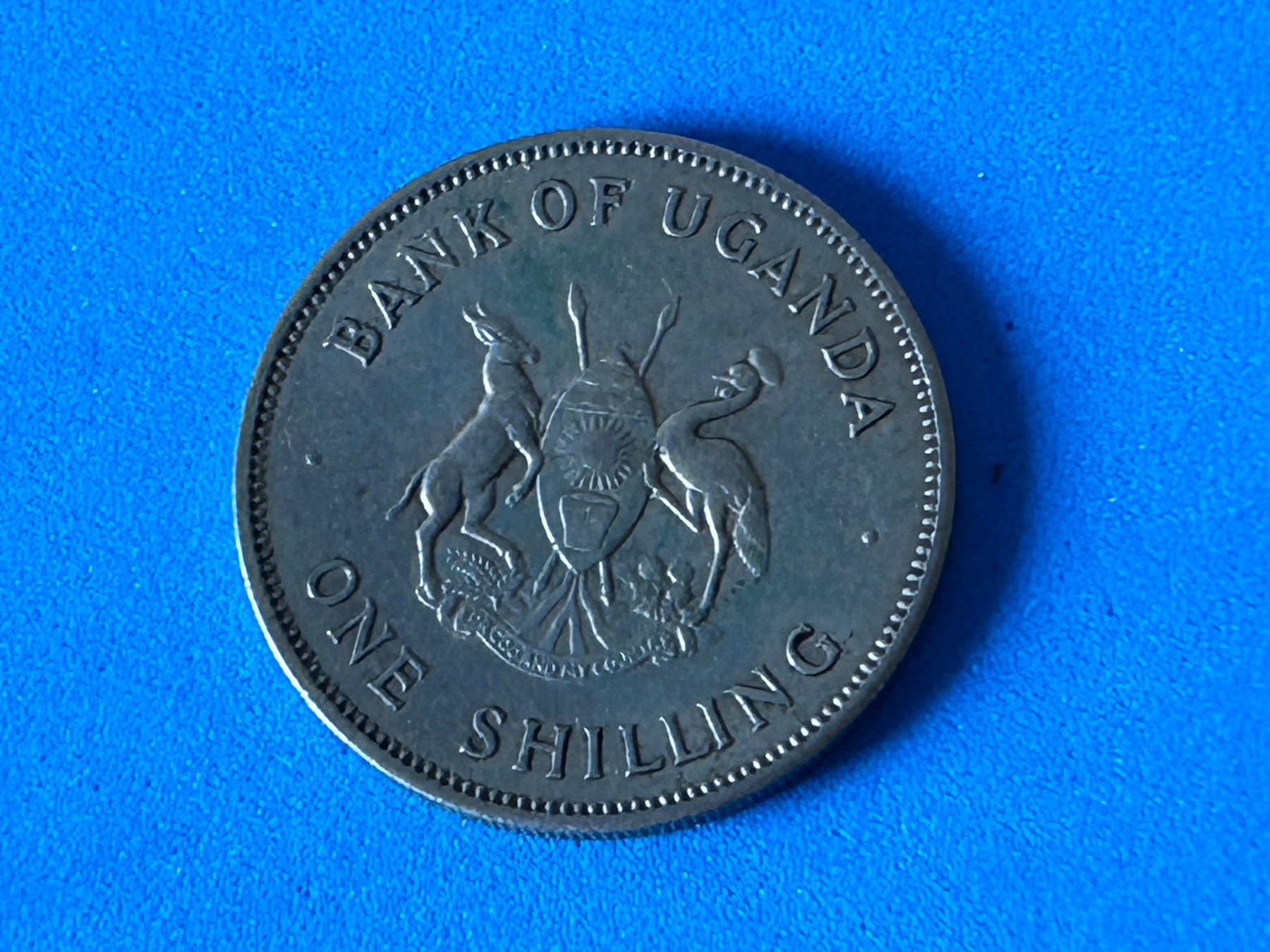 Alle Münzen: Uganda - 1 Shilling 1966 – Gebraucht aus Corcelles NE von AJKader 7