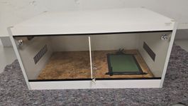 Trocken Terrarium "Kunststoff"