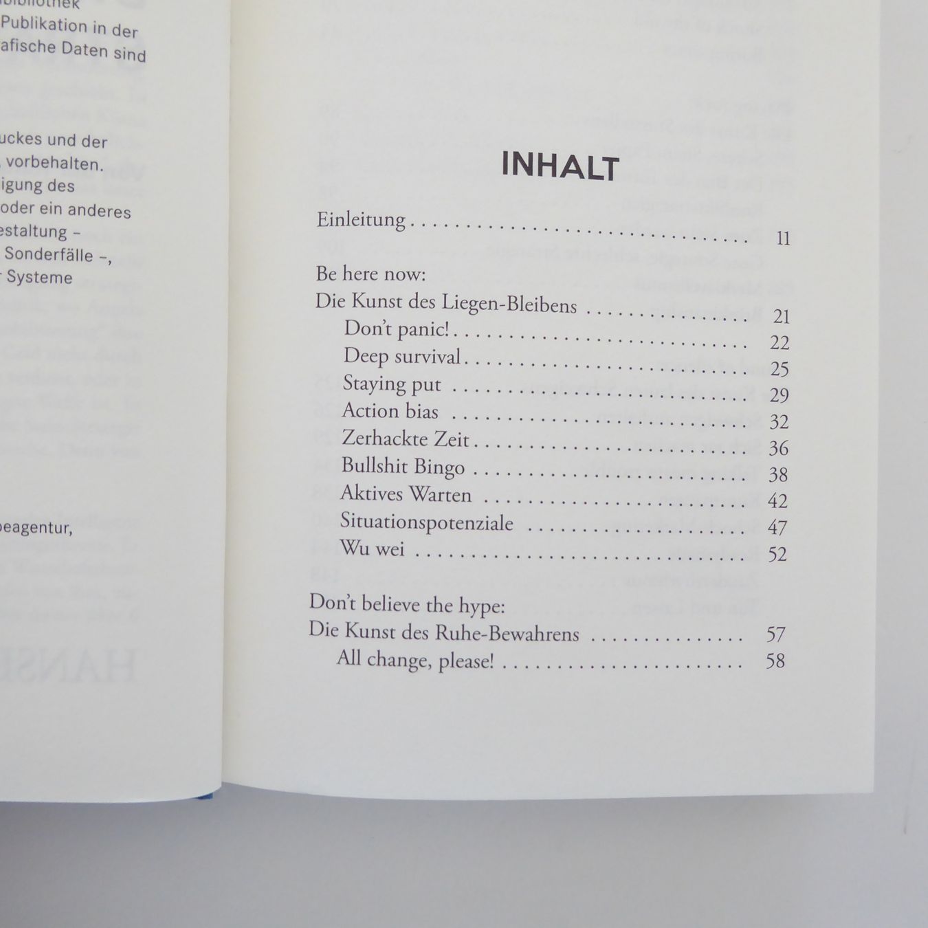 Libri: Die Stein Strategie - Holm Friebe – Usato da Basel venduto da Kunterbunt12 2