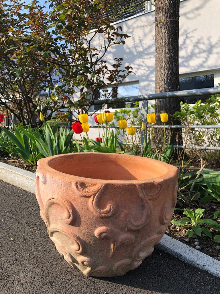 Vasi per fiori: Wunderschöner, grosser Terracotta-Pflanztopf – Usato da Dällikon venduto da Spili20 1