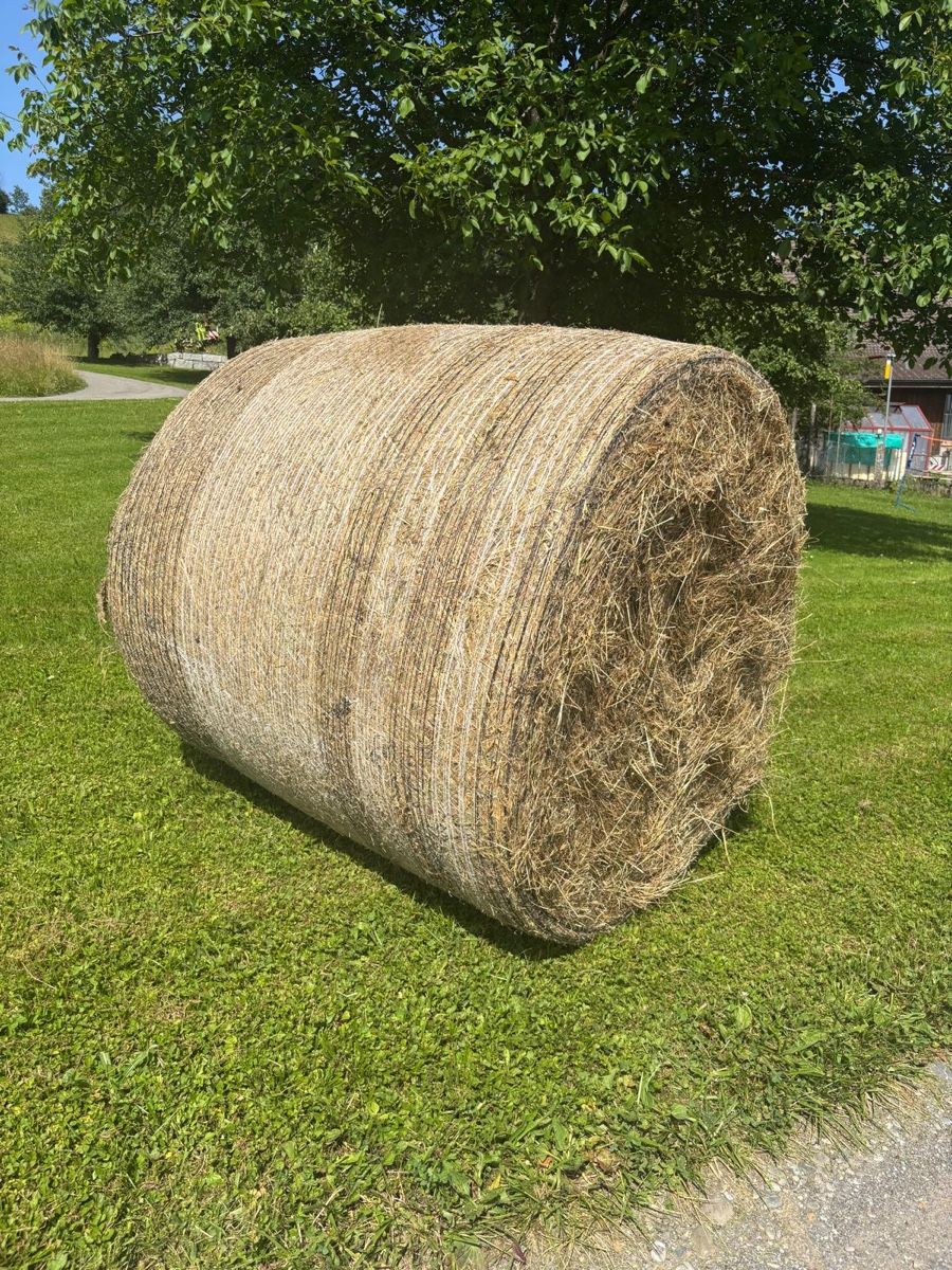 Futter: Heu Rundballen, Ernte 2024 – Neu und originalverpackt aus Bäretswil von mel_2xd5 2
