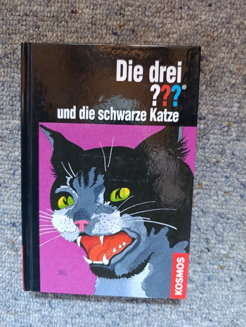 Libri: die drei Fragezeichen und die schwarze Katze  – Nuovo (secondo la descrizione) da Fischenthal venduto da Widder71