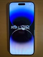 iPhone 14 Pro Max - 256 GB - Silber - Top Zustand mit OVP