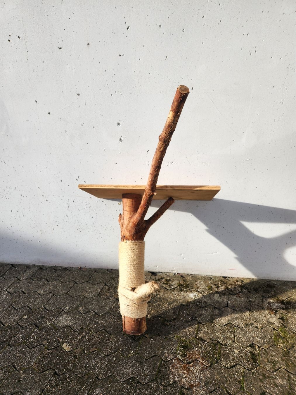 Tiragraffi: Kratzbaum – Usato da Matzendorf venduto da Kramer7