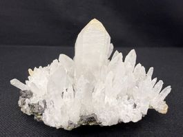 Quartz mit Quartz var. Scepter