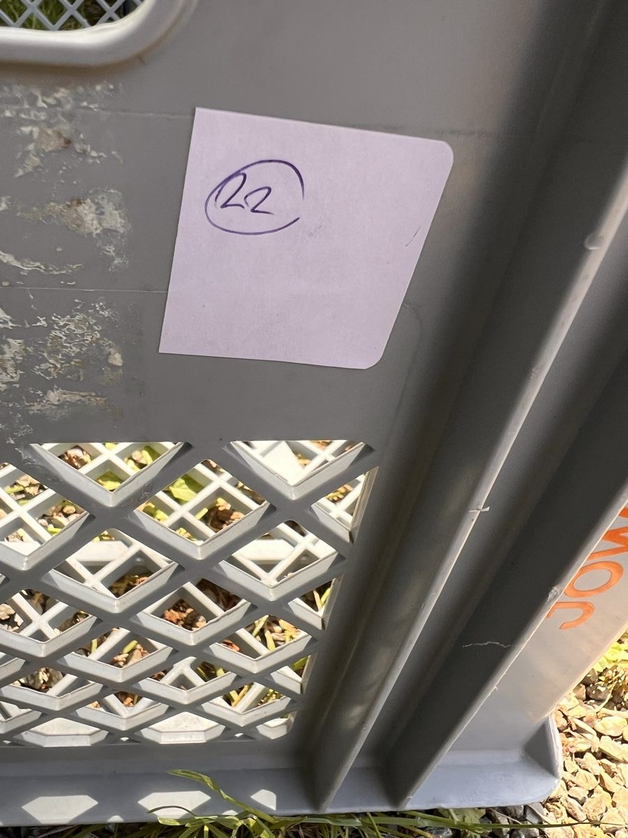 Pentole: Verschiedene Küchenartikel (22) – Usato da Glattfelden venduto da maa_qcj8 9