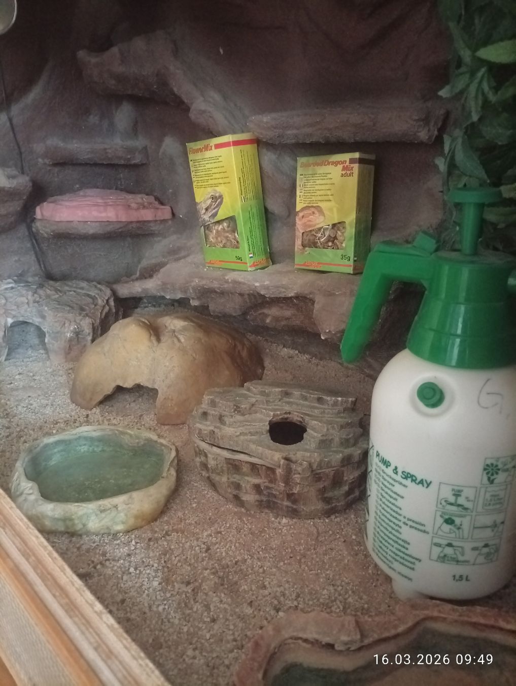 Terrario: Terrarium – Usato da Aarwangen venduto da GiLANi 2
