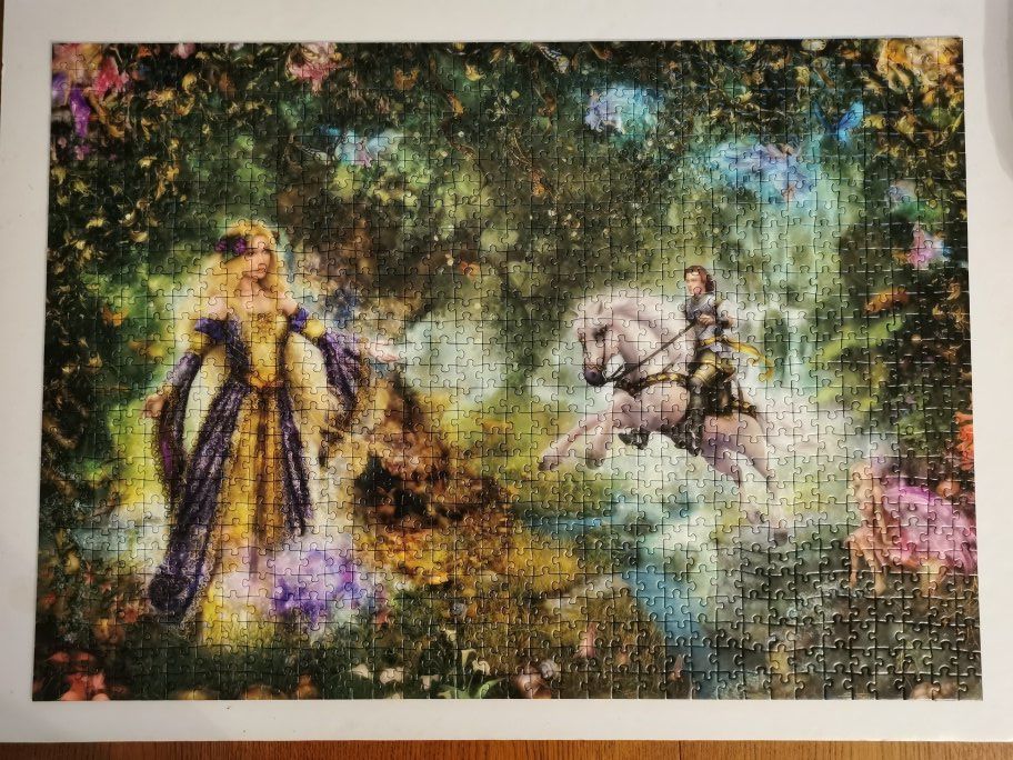Ravensburger Puzzle: Ravensburger Feenwald 1'000 Teile – Usato da Birsfelden venduto da Dsternschnuppe 1