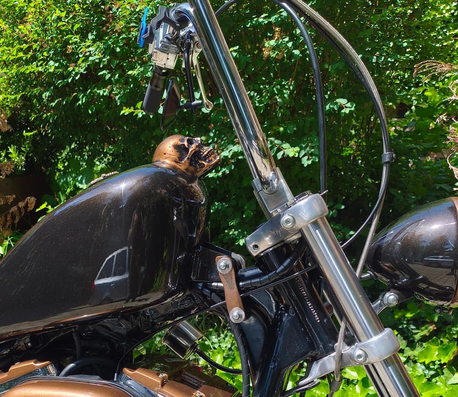 Harley-Davidson Chopper: HARLEY DAVIDSON XL 1200 C – Gebraucht aus fribourg von vak_kr6q 4