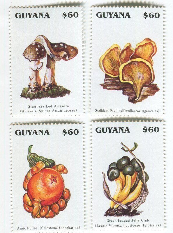 Tous les timbres: Briefmarken "Pilze". Guyana. – Neuf avec emballage d'origine à Basel par Butsch5