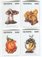 Briefmarken "Pilze". Guyana.