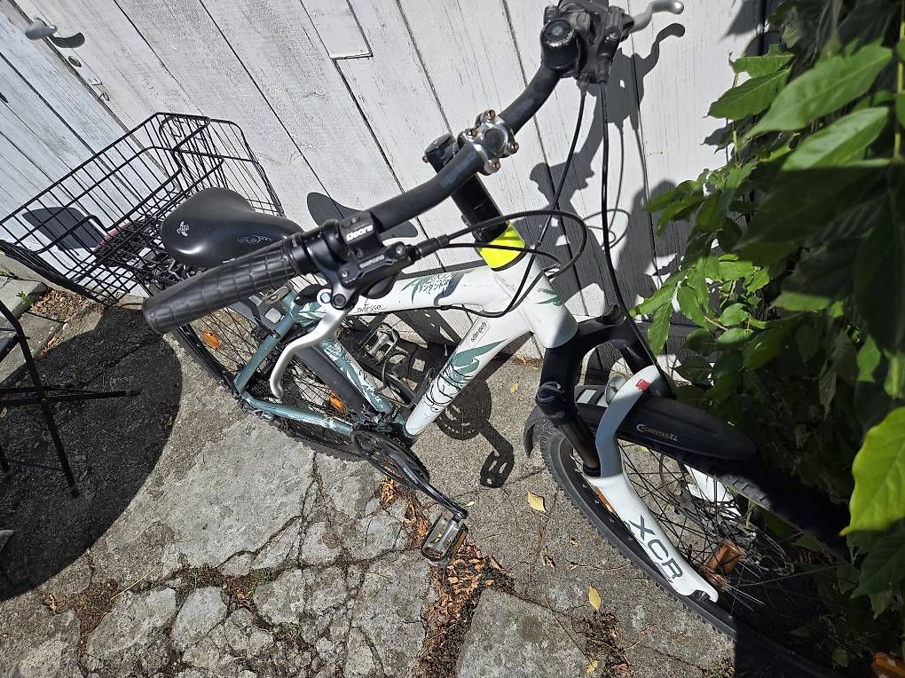 Biciclette: MTB Scott Contessa  – Usato da Biel/Bienne venduto da Rouf7 3