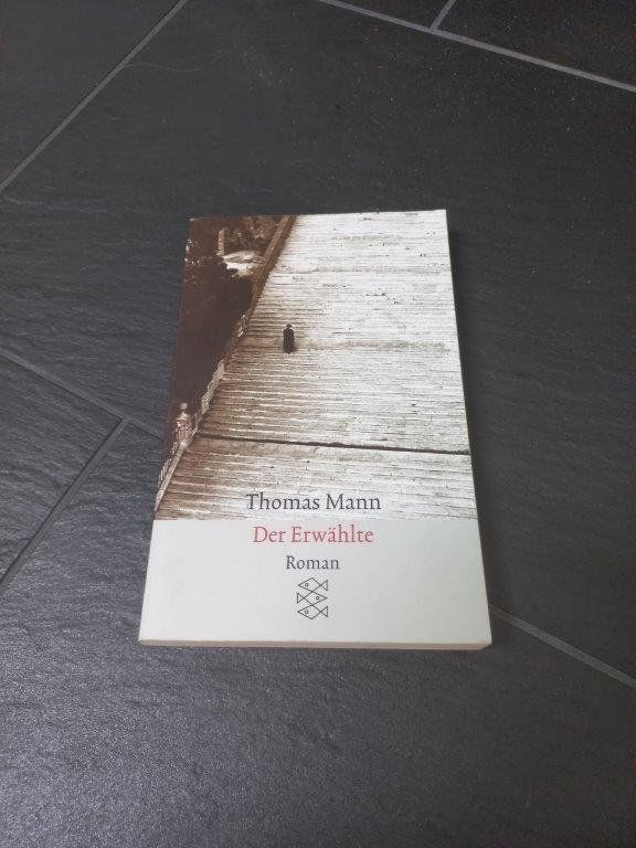 Libri: Thomas Mann Der Erwählte – Usato da Pfäffikon / ZH venduto da Pefkadett
