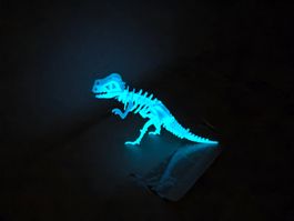 Dino Skelett - leuchtet im Dunkeln