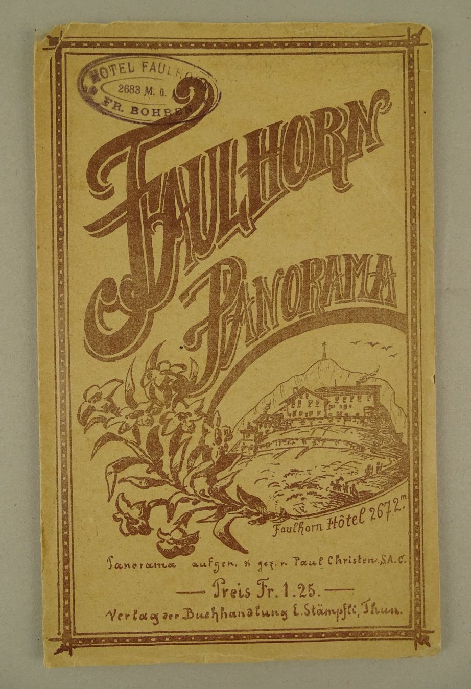 Incisioni: PANORAMA FAULHORN, 1890, BERN – Usato da Grüningen venduto da Kartensammler