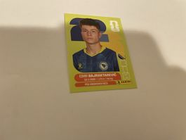 FIFA WM 2026 Esmir Bajraktarevic BIH 15