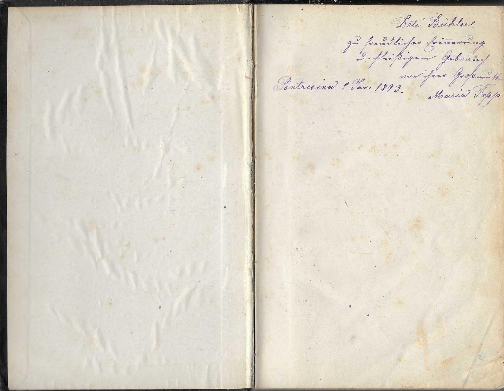 Livres: Neues Testament von 1891 – D'occasion à Flims - Dorf par Stagediver 1