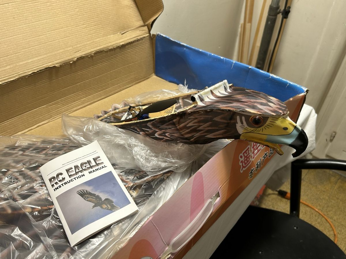 Modellismo RC: Avion RC Dynam RC Eagle – Usato da Geneve venduto da Fil1997 3