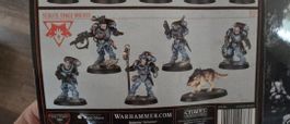 Warhammer 40k Space Wolves killteam