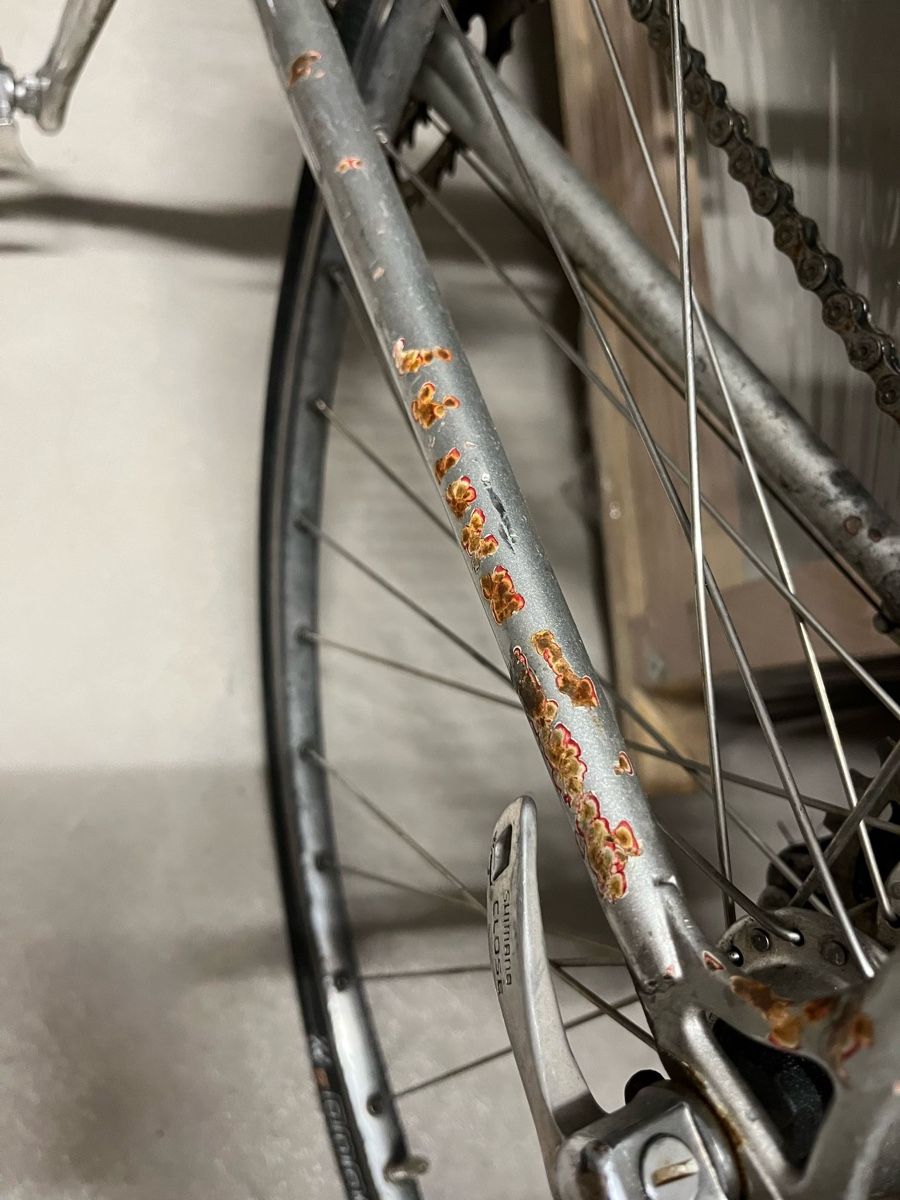 Biciclette: Rennvelo Fredy Rüegg mit Campagnolo-Komponenten – Usato da Zürich venduto da alerase 3