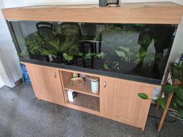 Top Aquarium mit Unterschrank, sehr gut erhalten, CHF 200