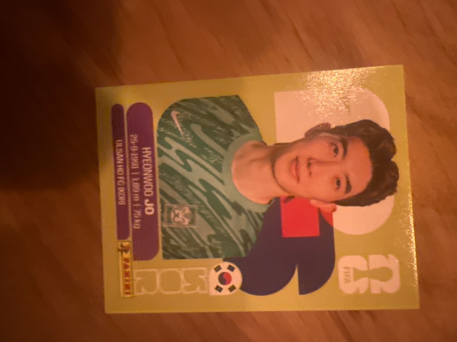 Panini Sammelbilder & Trading cards: Panini – Gebraucht aus Langnau i. E. von Acrjl