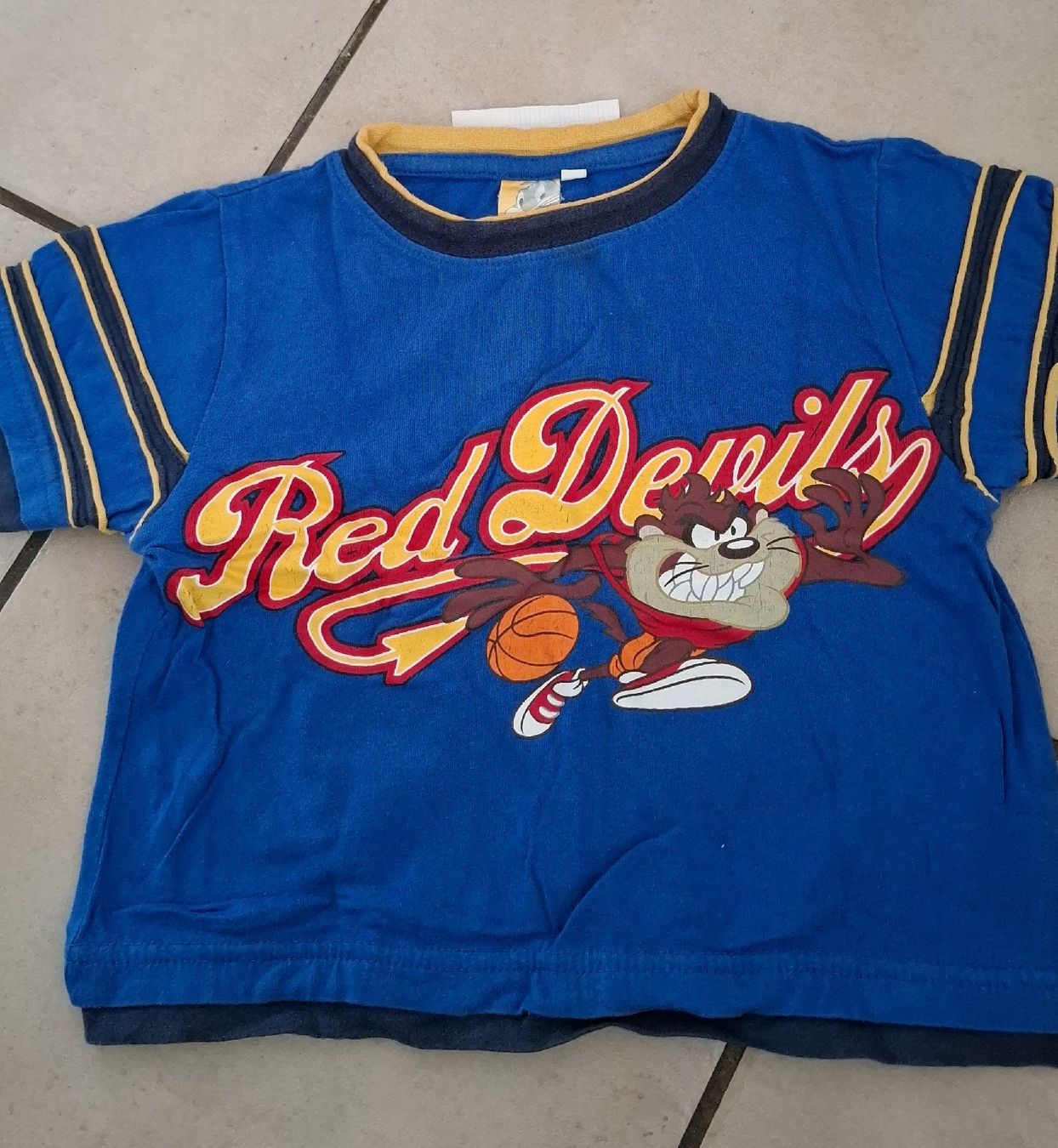 Hemden, T-Shirts & Polos: T-shirt Taz Red Devils bleu garçon – Gebraucht aus Les bois von Steph-tigrou
