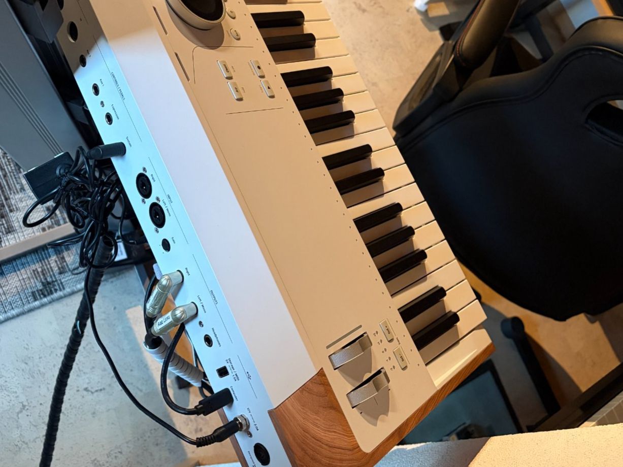 Arturia Strumenti musicali: Biete Arturia Astro Lab 61 – Usato da Zermatt venduto da fug_f5dt 1