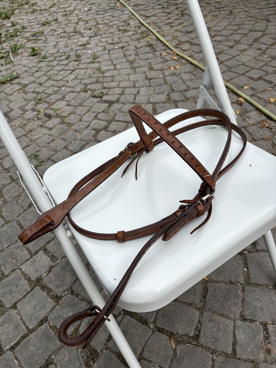 Zaumzeug & Halfter: Zaum für Pferd – Gebraucht aus St. Gallen von may_8fbd 1