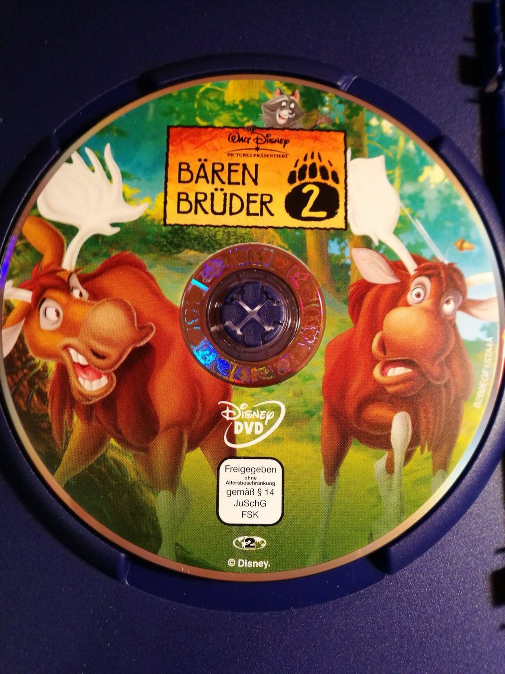 Alle DVDs: Bärenbrüder 2 DVD von Walt Disney – Neu (gemäss Beschreibung) aus Horn von sonjamenzi 2