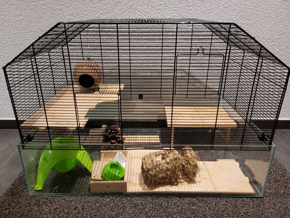 Hamsterkäfig Mit Zubehör - Nagerheim Mit Laufrad & Tunnelsystem