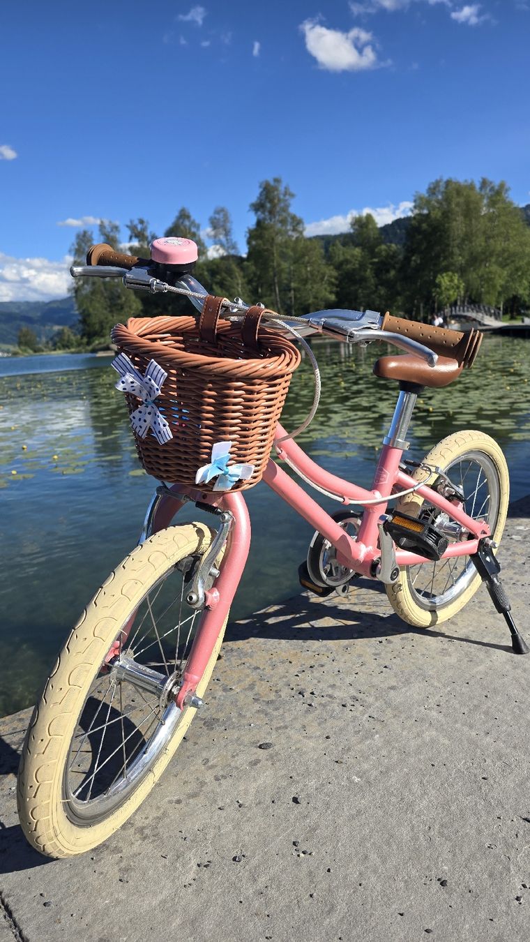 Siech Biciclette: Kindervelo Siech 16" – Usato da Zug venduto da zebbra192 4