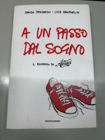 A un passo dal sogno: Il romanzo di «Amici»