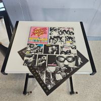LP Vinyl: Spider Murphy Gang – Tutti Frutti - 1982